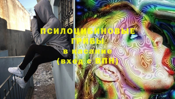 МДПВ Алзамай