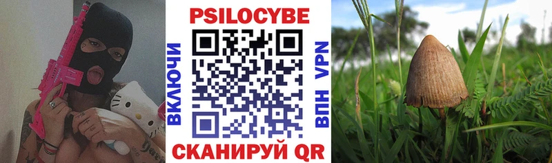 Галлюциногенные грибы Psilocybine cubensis  наркошоп  Аркадак 